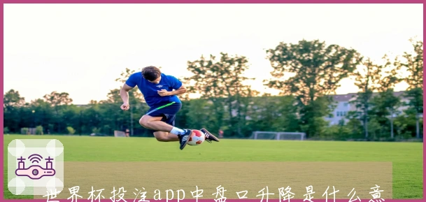 世界杯投注app中盘口升降是什么意思，如何判断影响因素？