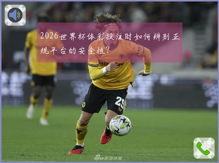 2026世界杯体彩投注时如何辨别正规平台的安全性？