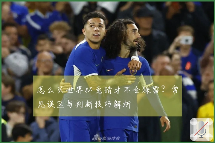 怎么买世界杯竞猜才不会踩雷？常见误区与判断技巧解析