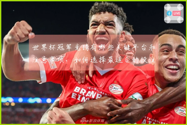 世界杯冠军竞猜有哪些关键平台和注意事项，如何选择最适合的投注渠道？