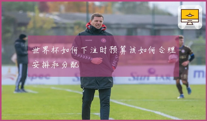 世界杯如何下注时预算该如何合理安排和分配