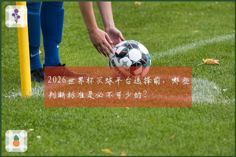 2026世界杯买球平台选择前，哪些判断标准是必不可少的？