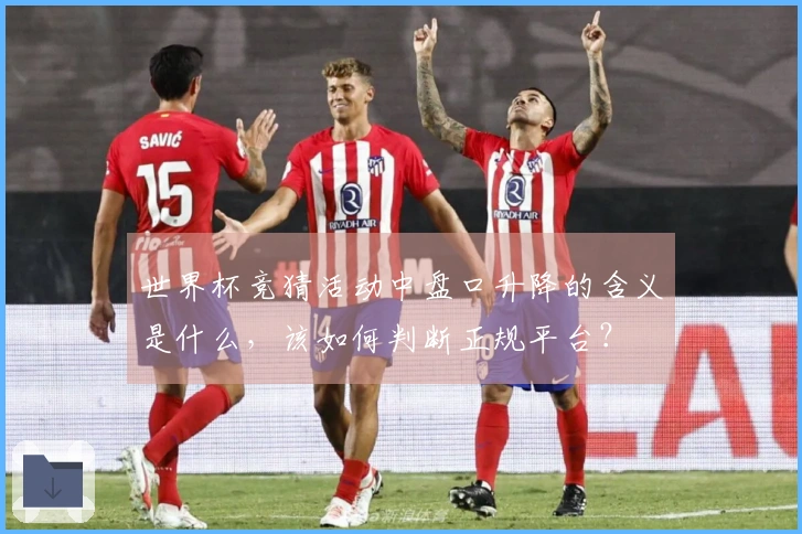 世界杯竞猜活动中盘口升降的含义是什么，该如何判断正规平台？
