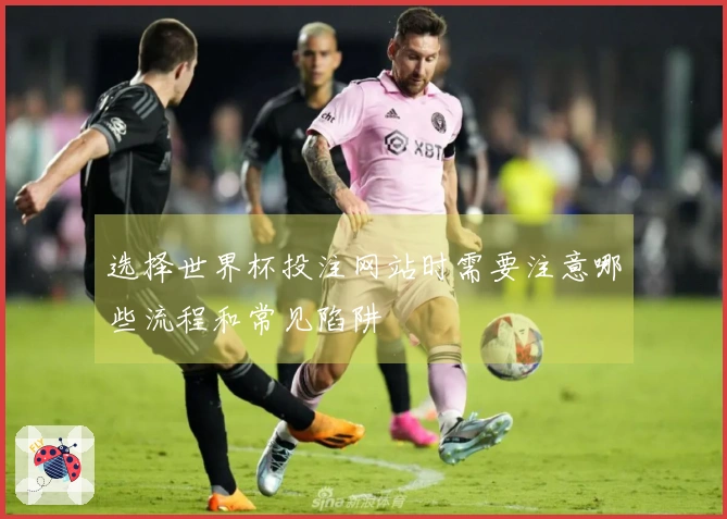 选择世界杯投注网站时需要注意哪些流程和常见陷阱