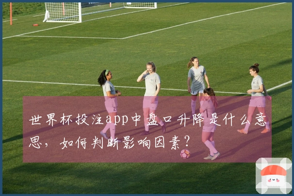 世界杯投注app中盘口升降是什么意思，如何判断影响因素？