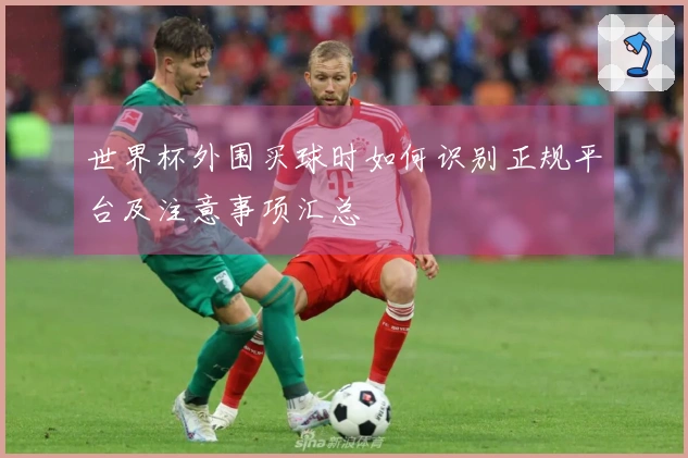 世界杯外围买球时如何识别正规平台及注意事项汇总