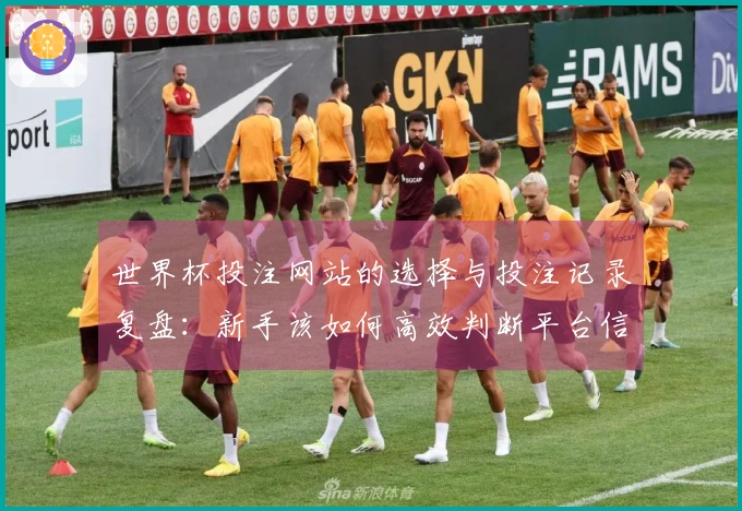 世界杯投注网站的选择与投注记录复盘：新手该如何高效判断平台信誉？