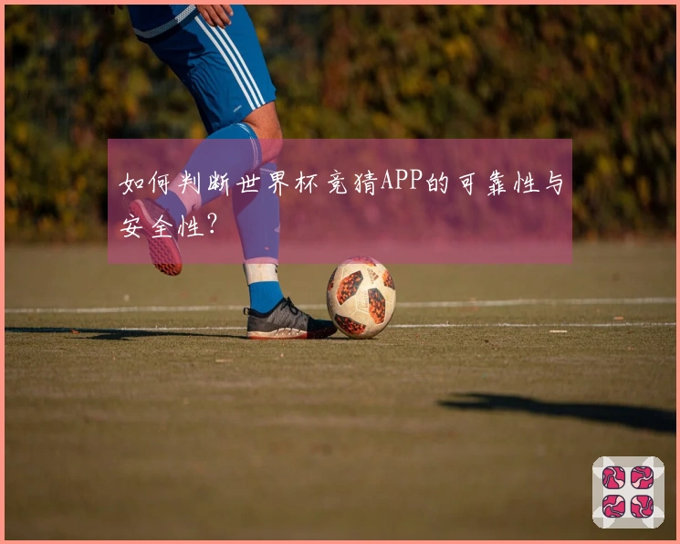 如何判断世界杯竞猜APP的可靠性与安全性？